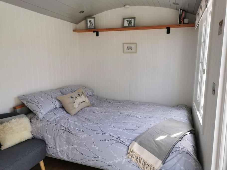 הוילה אקסטר Elvan Farm Shepherd'S Hut מראה חיצוני תמונה
