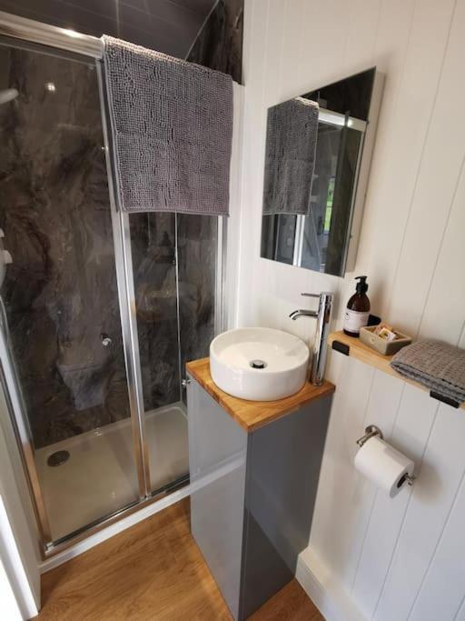 הוילה אקסטר Elvan Farm Shepherd'S Hut מראה חיצוני תמונה